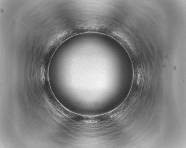 X0000088130692200705141442