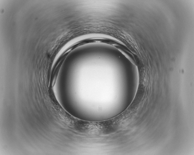 X0000088130697200705141442