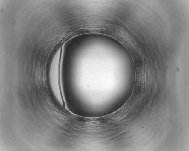 X0000088130700200705141442