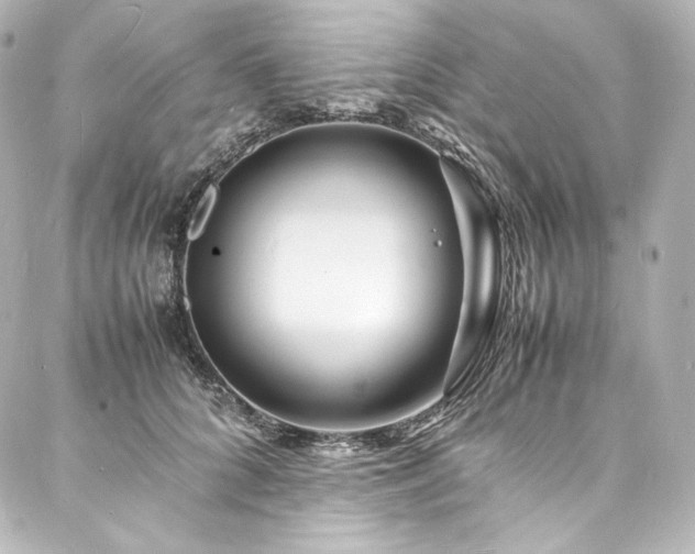 X0000088130704200705141442