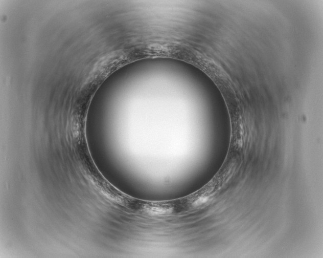 X0000088130706200705141442