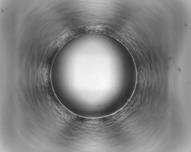 X0000088130708200705141442