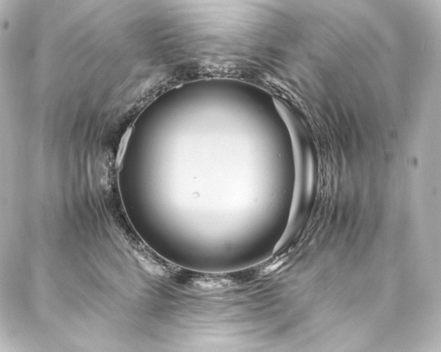 X0000088130712200705141442