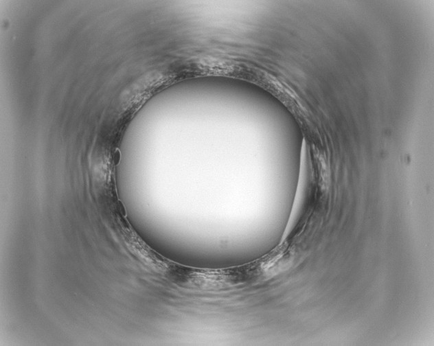 X0000088130713200705141442