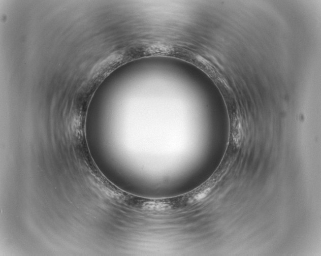 X0000088130714200705141442