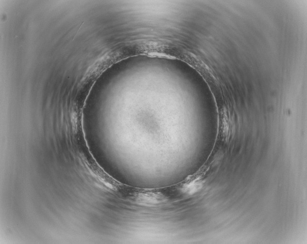 X0000088130716200705141442