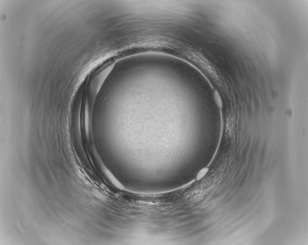 X0000088130724200705141441