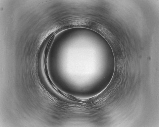 X0000088130727200705141441