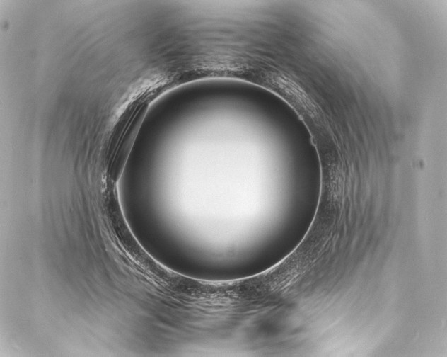 X0000088130731200705141441