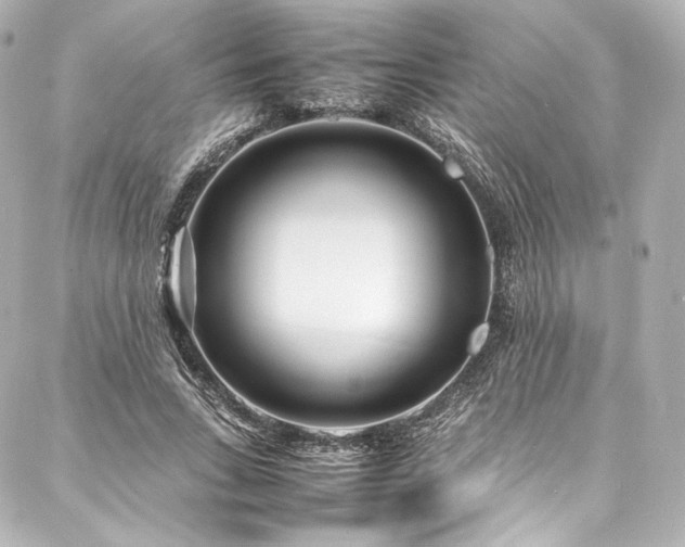 X0000088130735200705141441