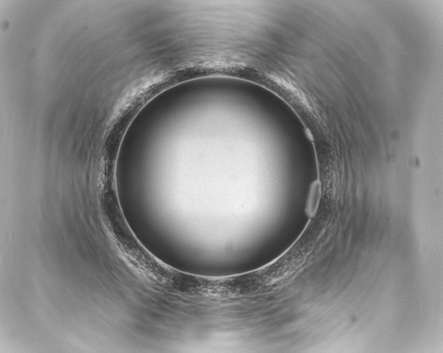 X0000088130736200705141441