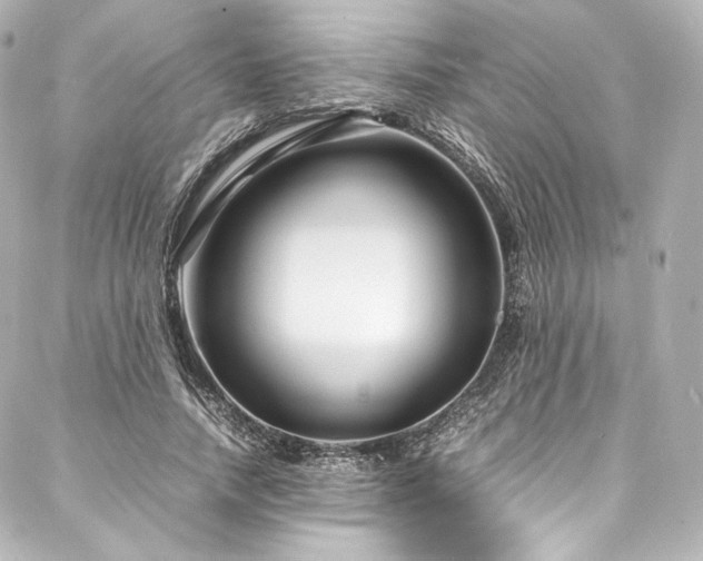 X0000088130738200705141441