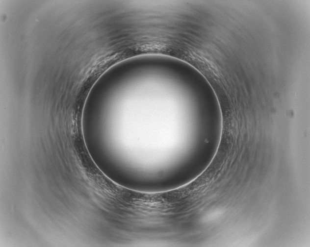 X0000088130743200705141442