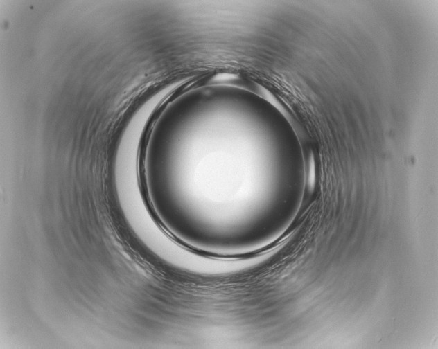 X0000088130744200705141442