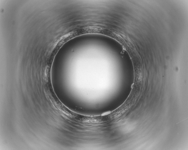 X0000088130759200705141442