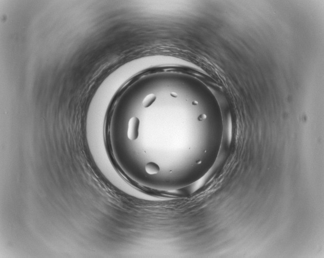 X0000088130762200705141442