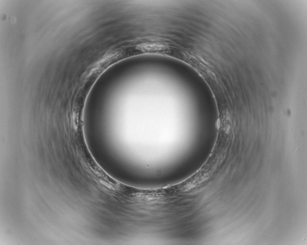 X0000088130763200705141442