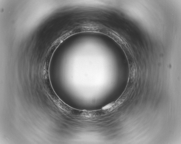 X0000088130764200705141442