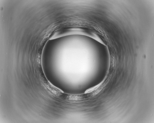 X0000088130766200705141442