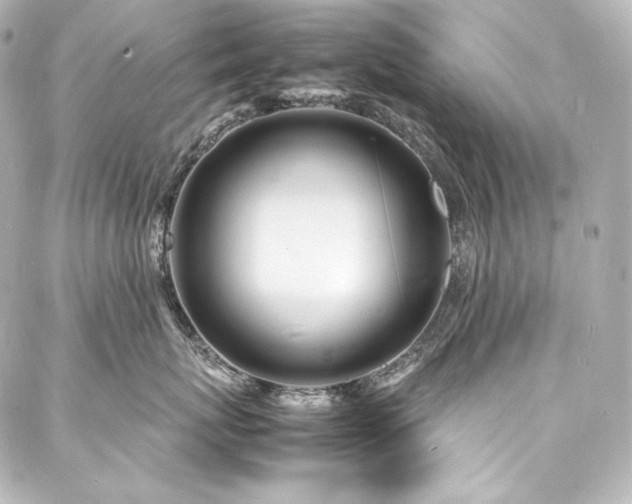 X0000088130767200705141442