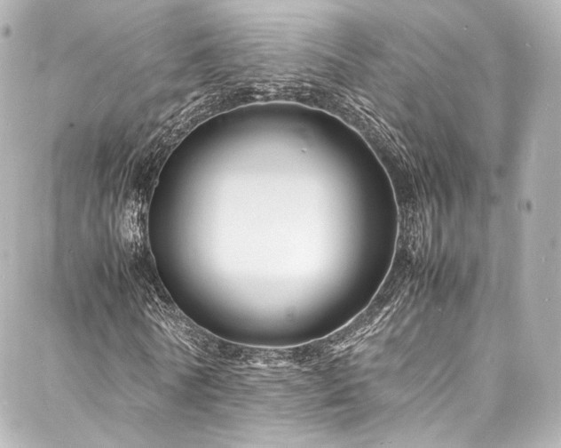 X0000088130770200705141441