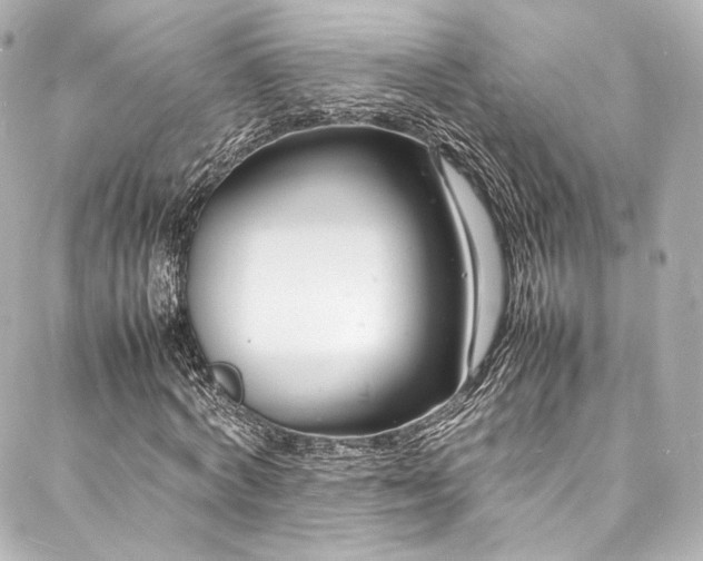 X0000088130772200705141441