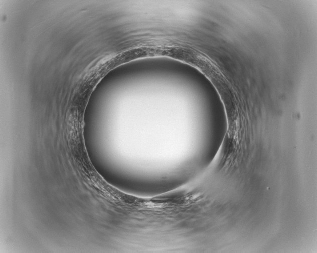 X0000088130773200705141441