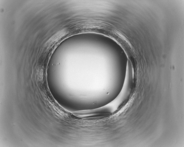 X0000088130777200705141441