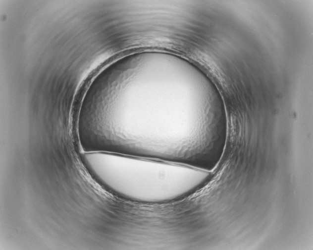 X0000088130780200705141441