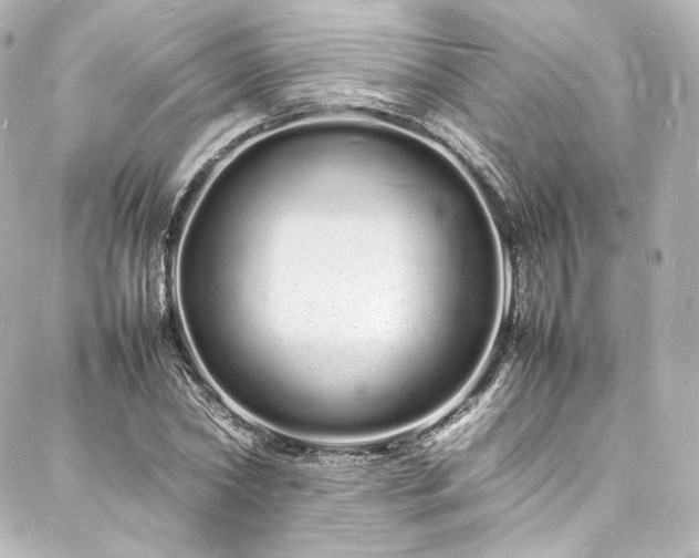 X0000088130782200705141441