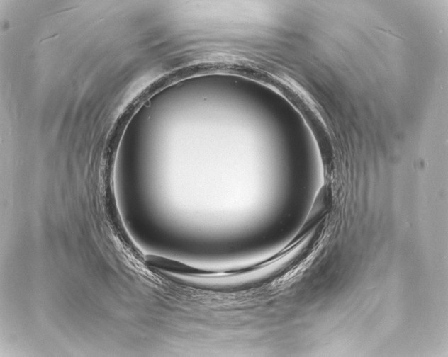 X0000088130783200705141441