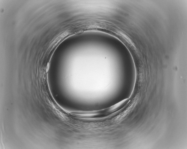 X0000088130793200705141441