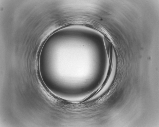 X0000088130795200705141441