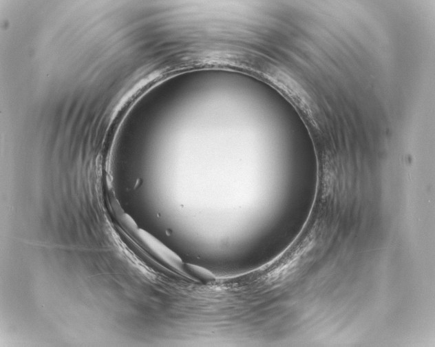 X0000088130798200705141441