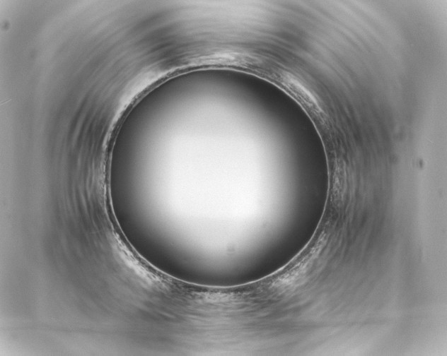 X0000088130800200705141441