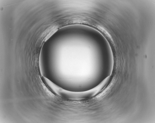 X0000088130801200705141441