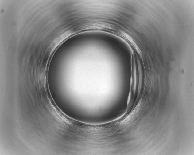 X0000088130802200705141441