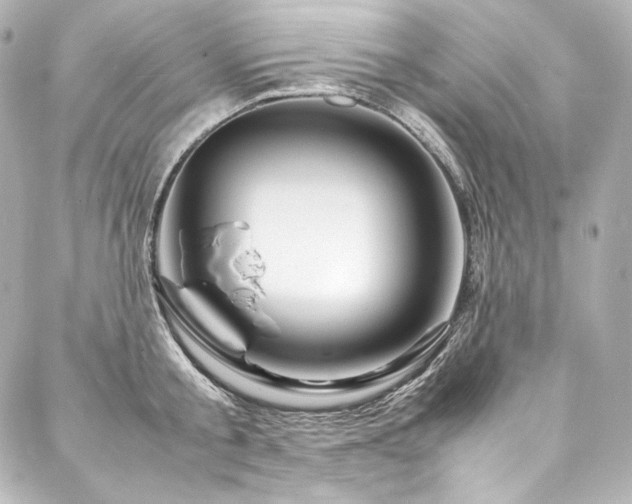 X0000088130805200705141441