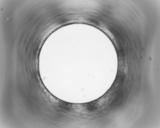 X0000088130807200705141441