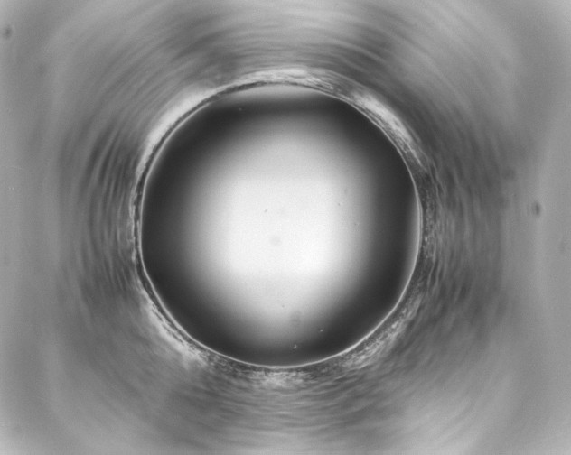 X0000088130808200705141441