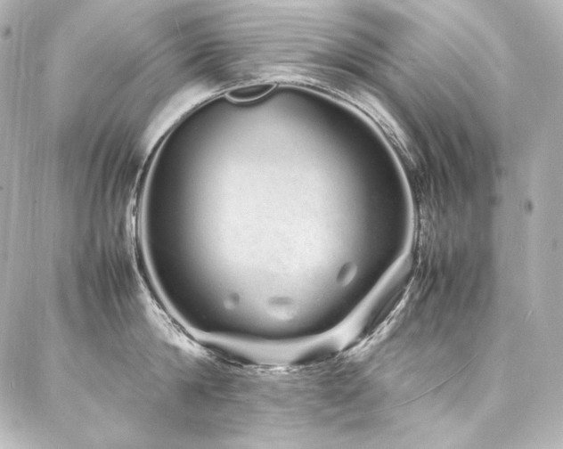 X0000088130814200705141440