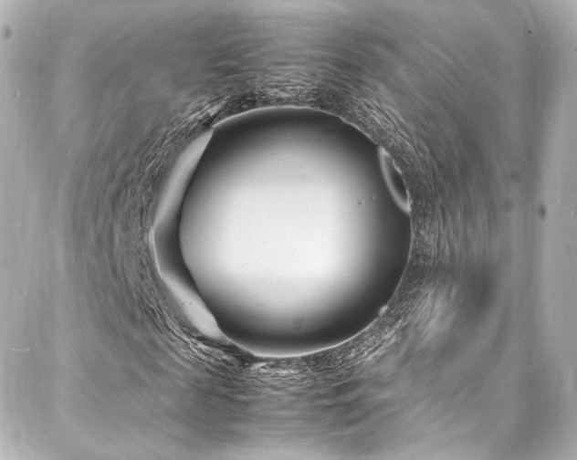 X0000088130817200705141440