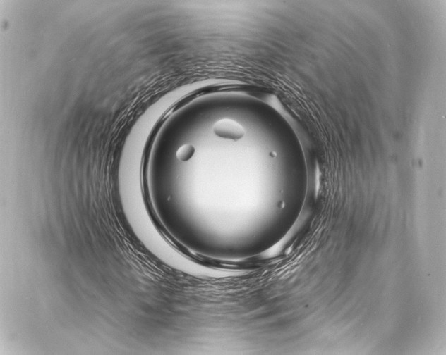 X0000088130818200705141440