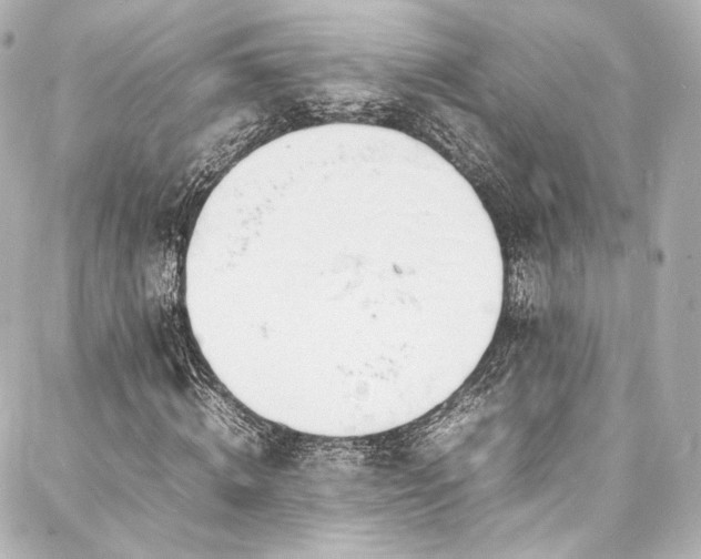 X0000088130820200705141440