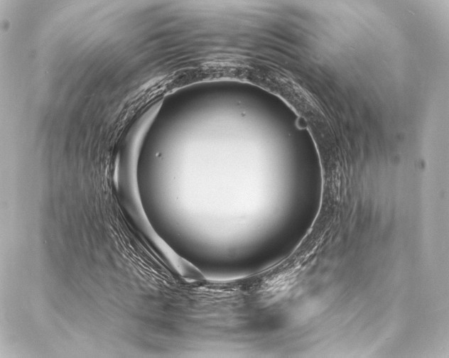 X0000088130821200705141440