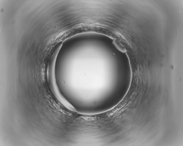 X0000088130822200705141440