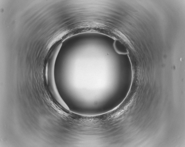 X0000088130826200705141440