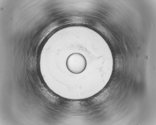 X0000088130828200705141440