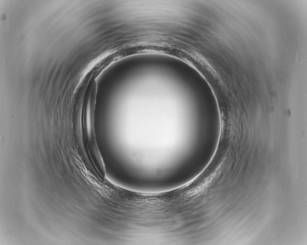 X0000088130830200705141440