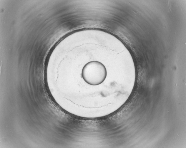 X0000088130836200705141440